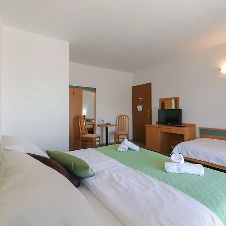 Vila Downtown Private Mandic