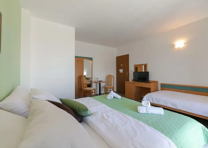 Downtown Private Mandic Willa *