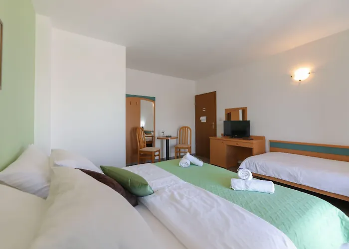 Πανσιόν Downtown Private Mandic